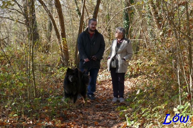 2.11.2024 -  Flanieren im Auwald